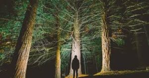 Blaming Mental Health Issues Lets Abusers Off the Hook