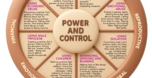 What is the Domestic Violence Power and Control Wheel?